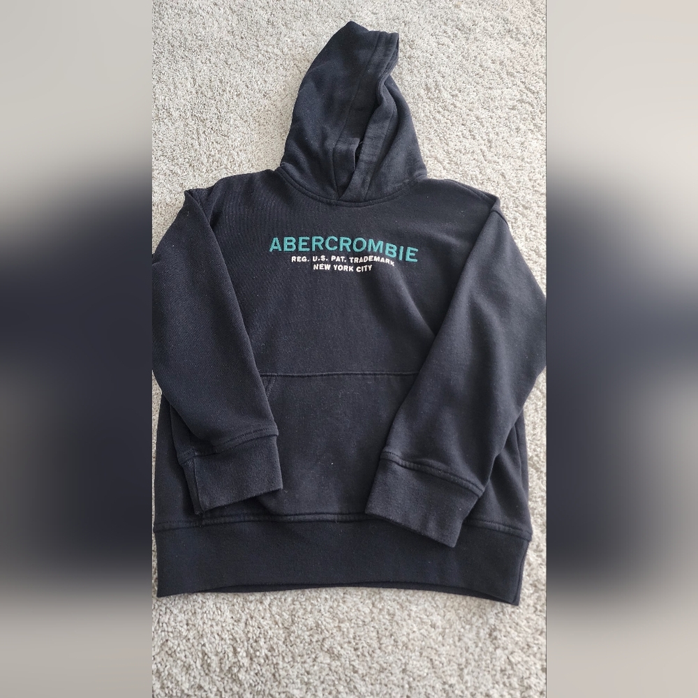 Abercrombie kids graphic logo hoodie
